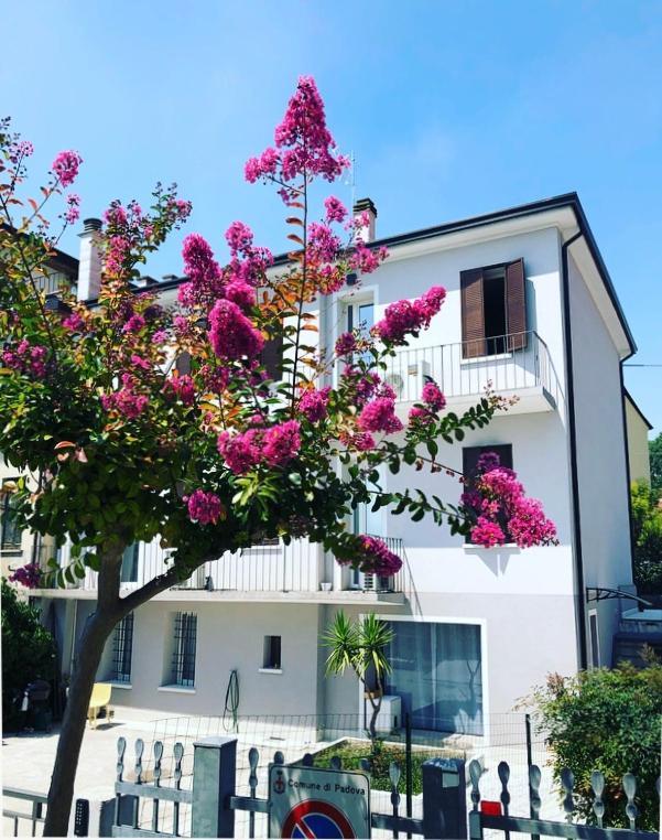 Civico21 Hotel Padova Bagian luar foto